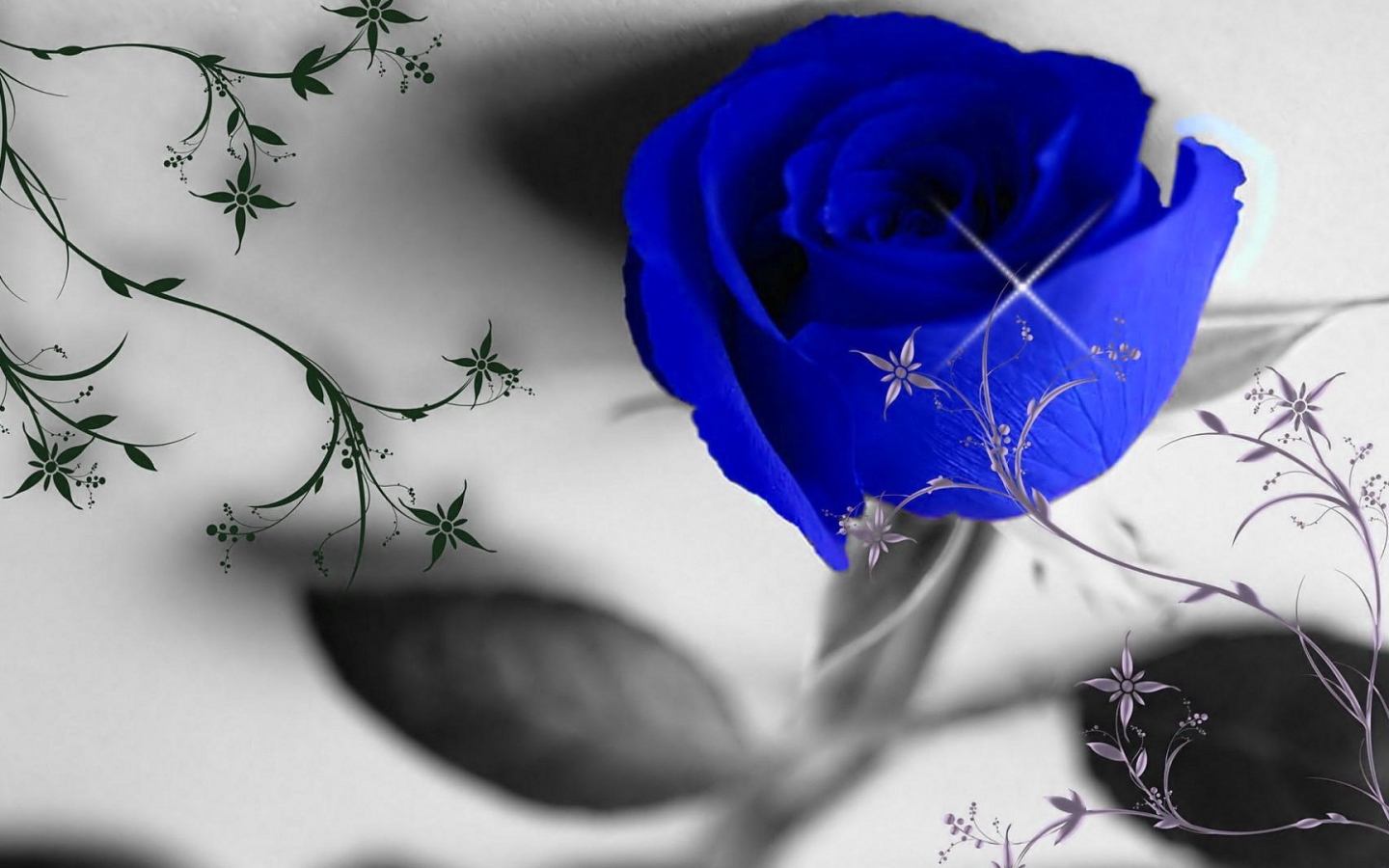 Синяя роза и узоры