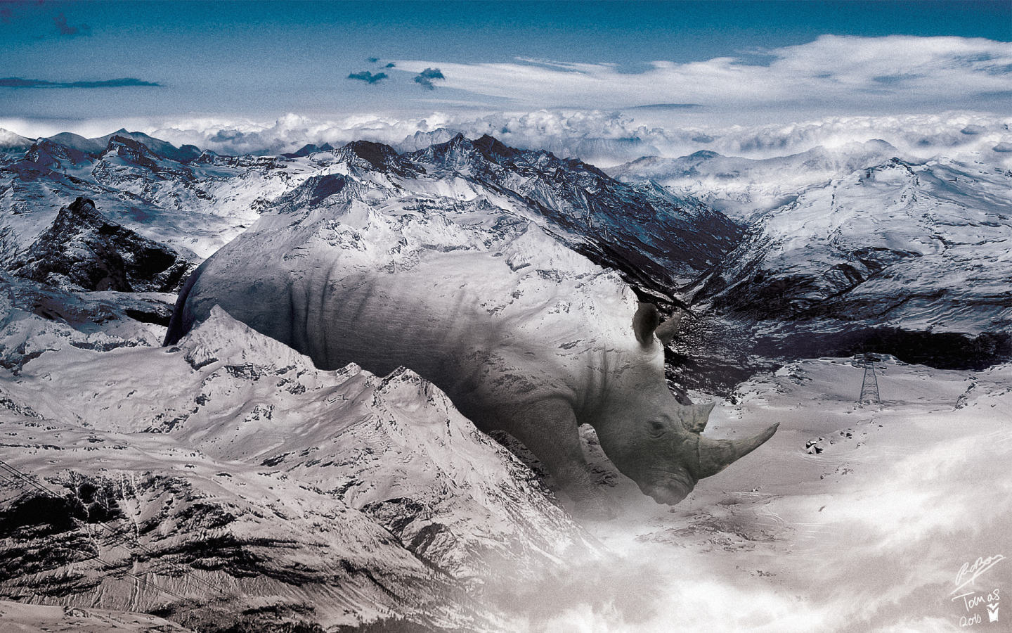 Носорог в горах