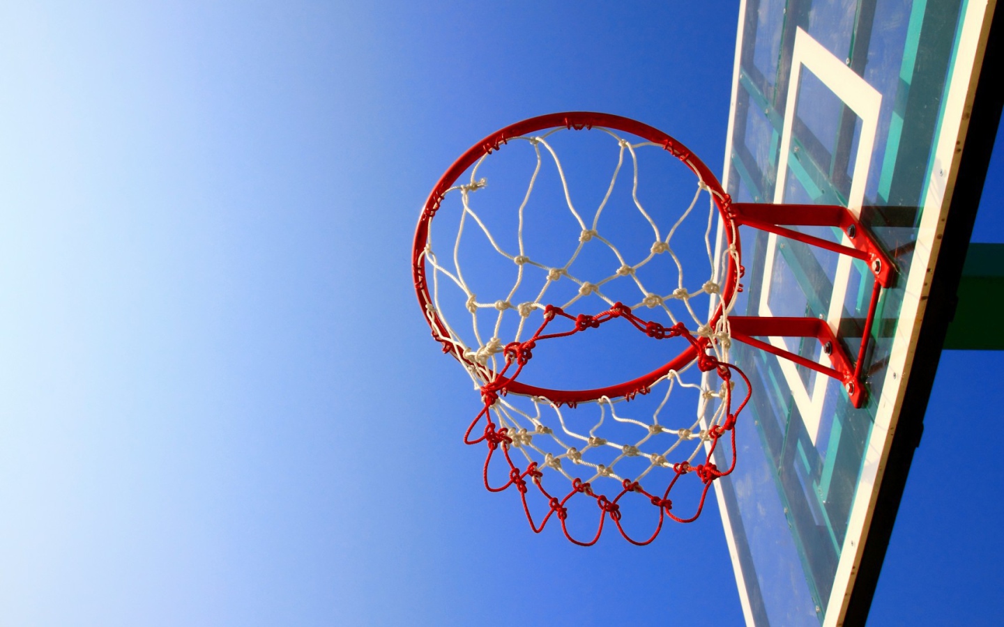 Баскетбольная сеть
