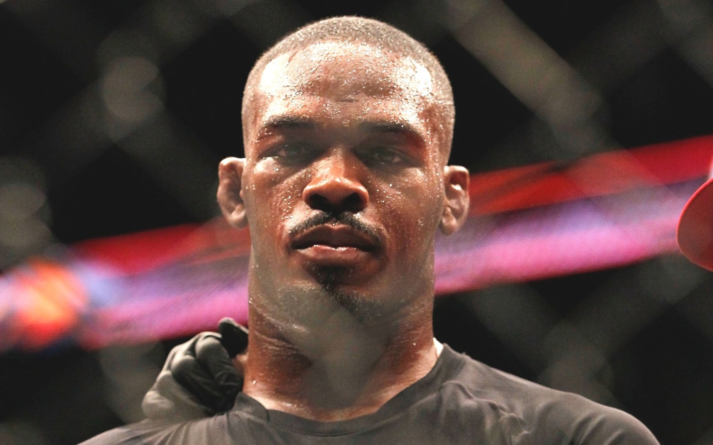 Чемпион Джон Джонс