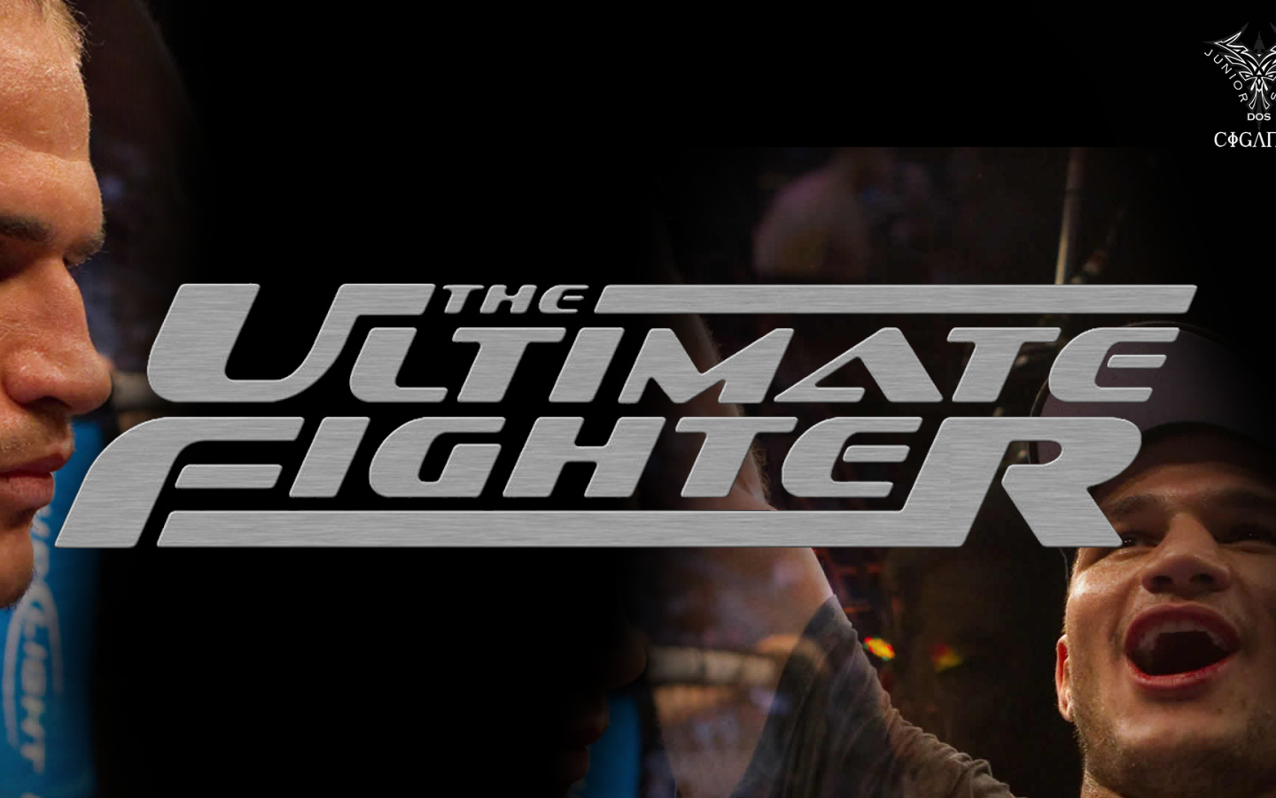 Известный боец Джуниор Дос Сантос