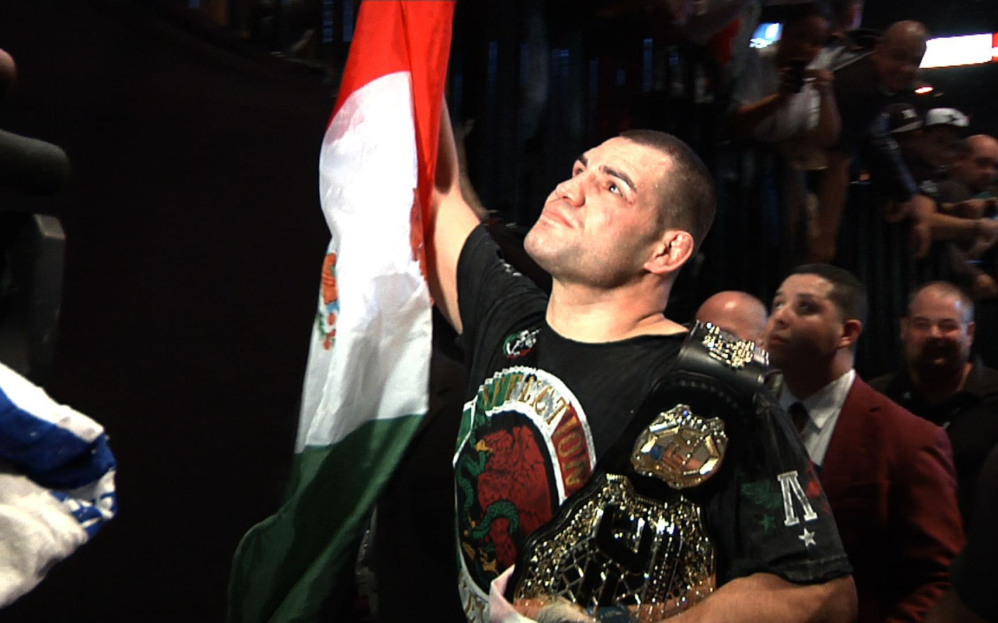 Бесстрашный Джуниор Дос Сантос