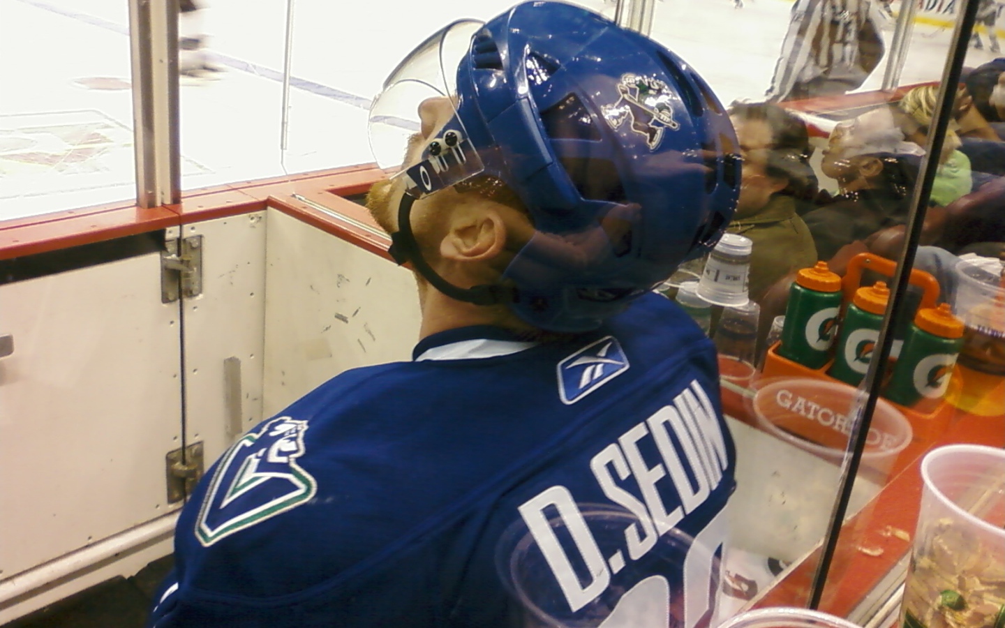 Известный Хоккеист Даниэль Седин