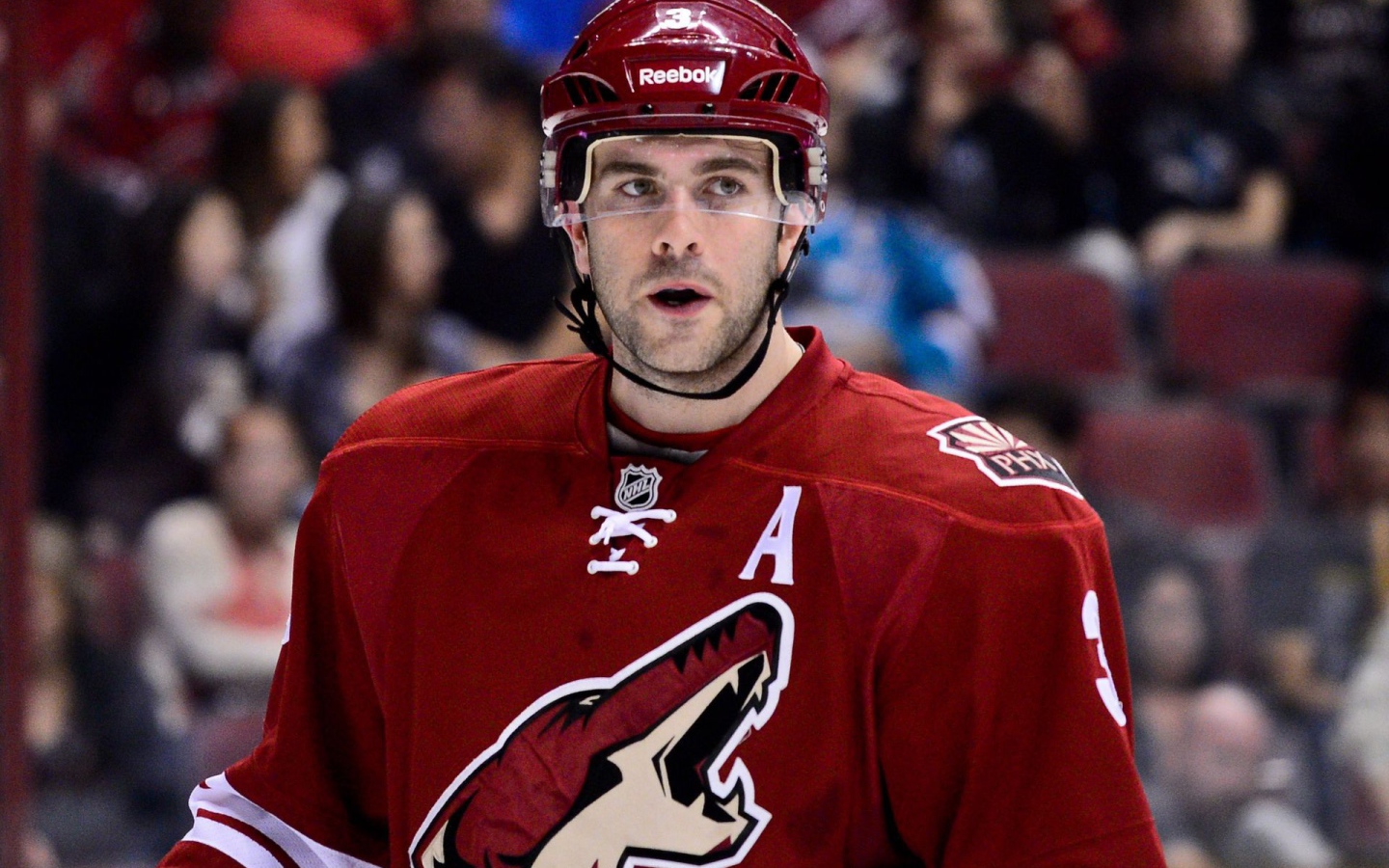 Известный Хоккеист Кейт Яндл