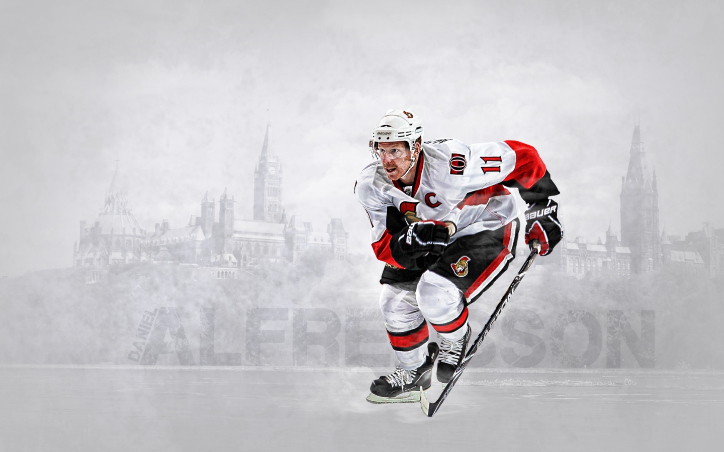 Hockey player Ottawa Erik Karlsson