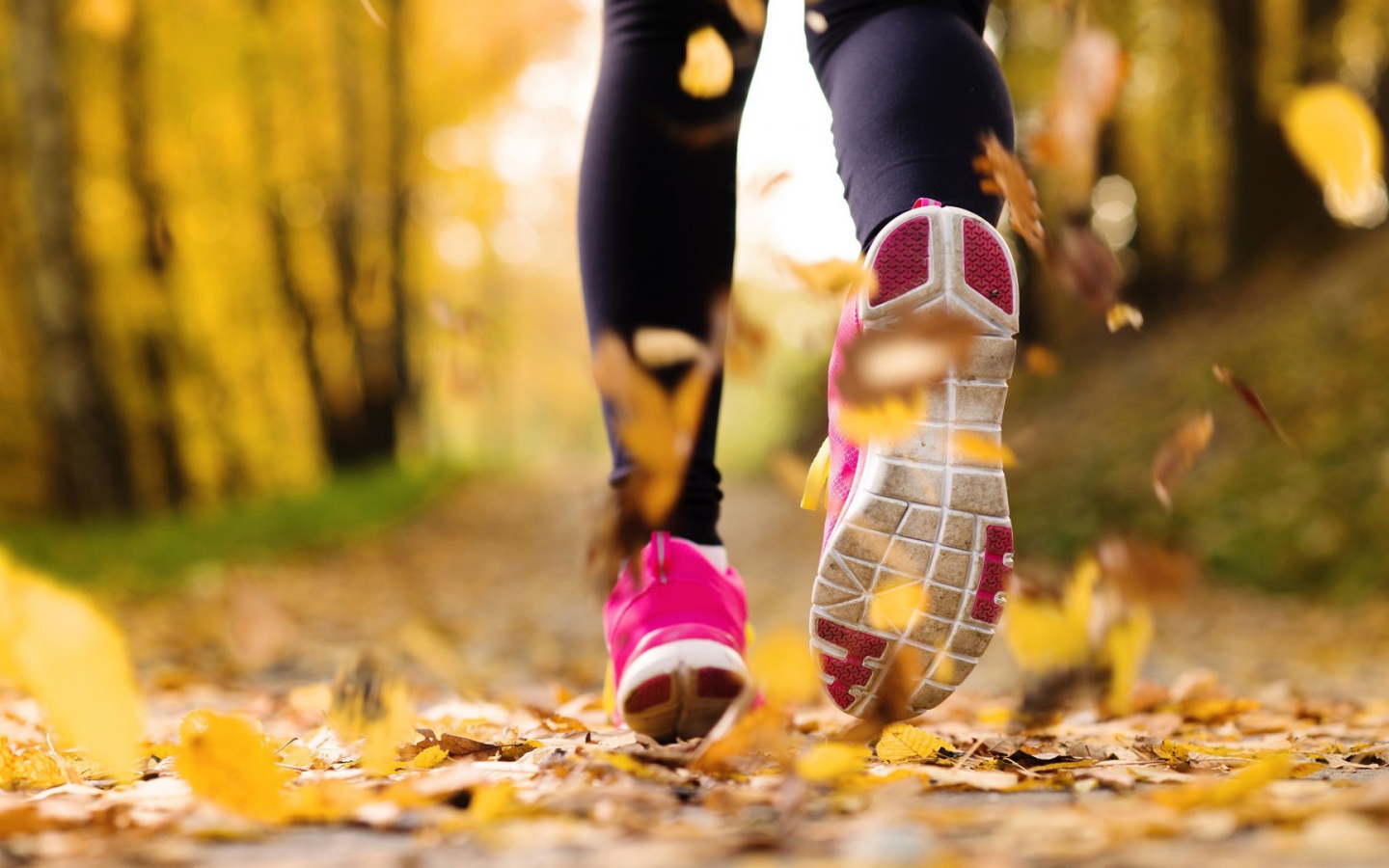 Утренняя пробежка в парке