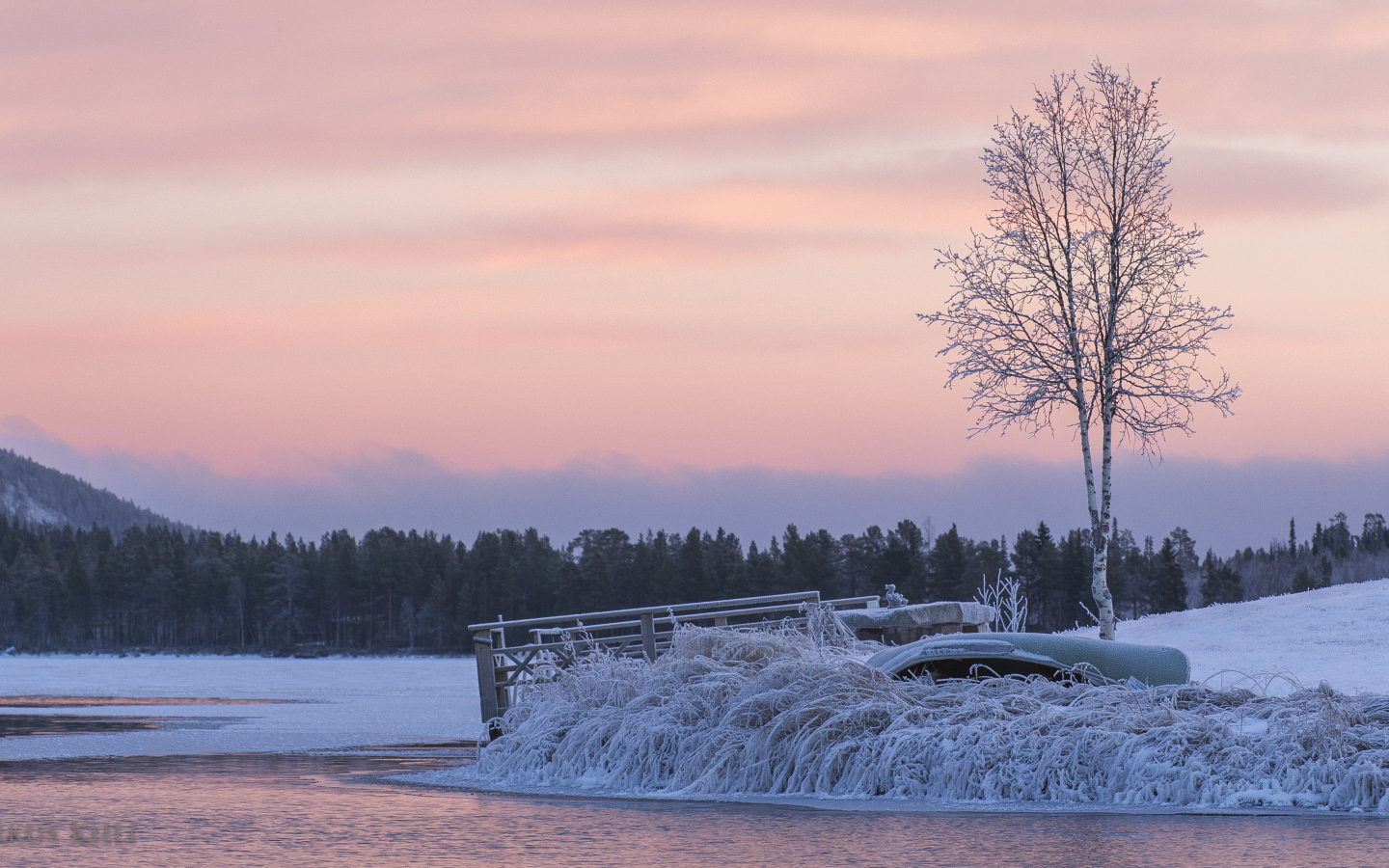 Берег зимней реки