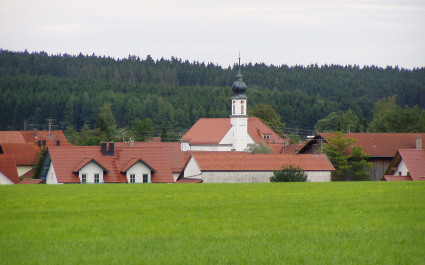 Зеленый луг в городе Лэнгенфельд, Австрия