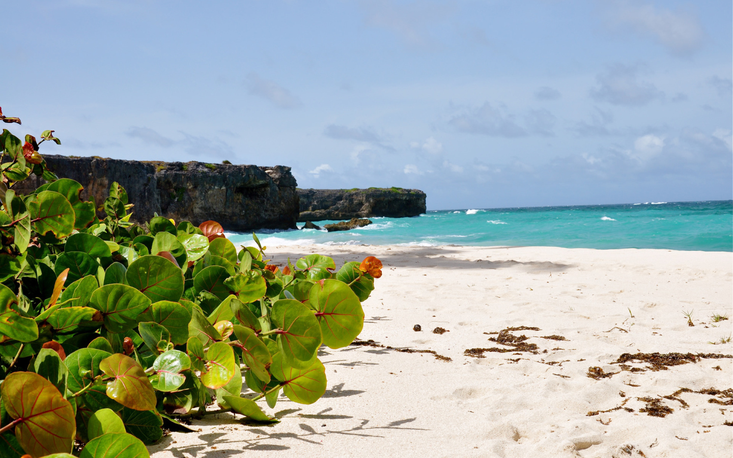 Восхитительный вид на пляж в Барбадосе