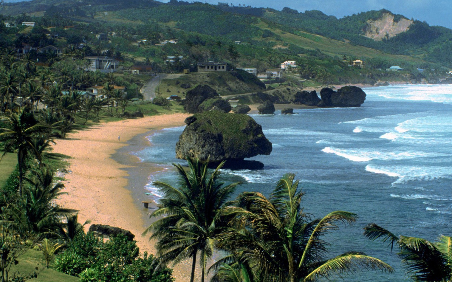 Overview of barbados
