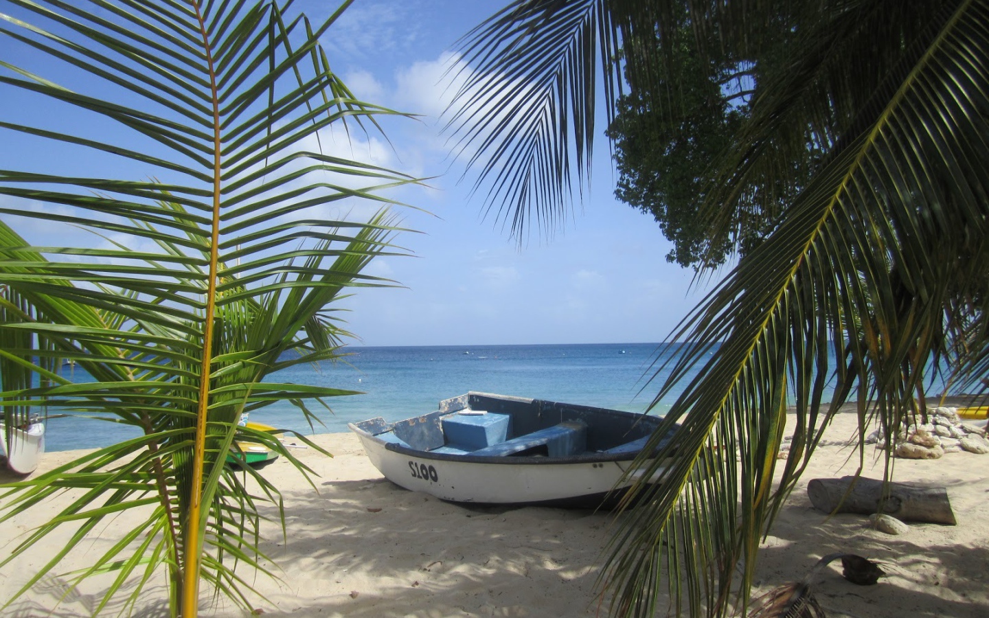 Белая, лодка в Барбадосе