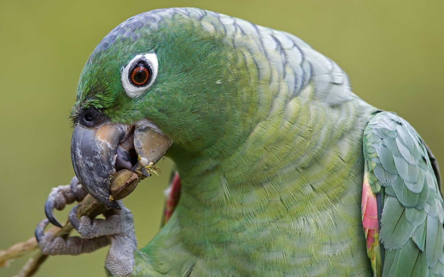 Эффектное Перу