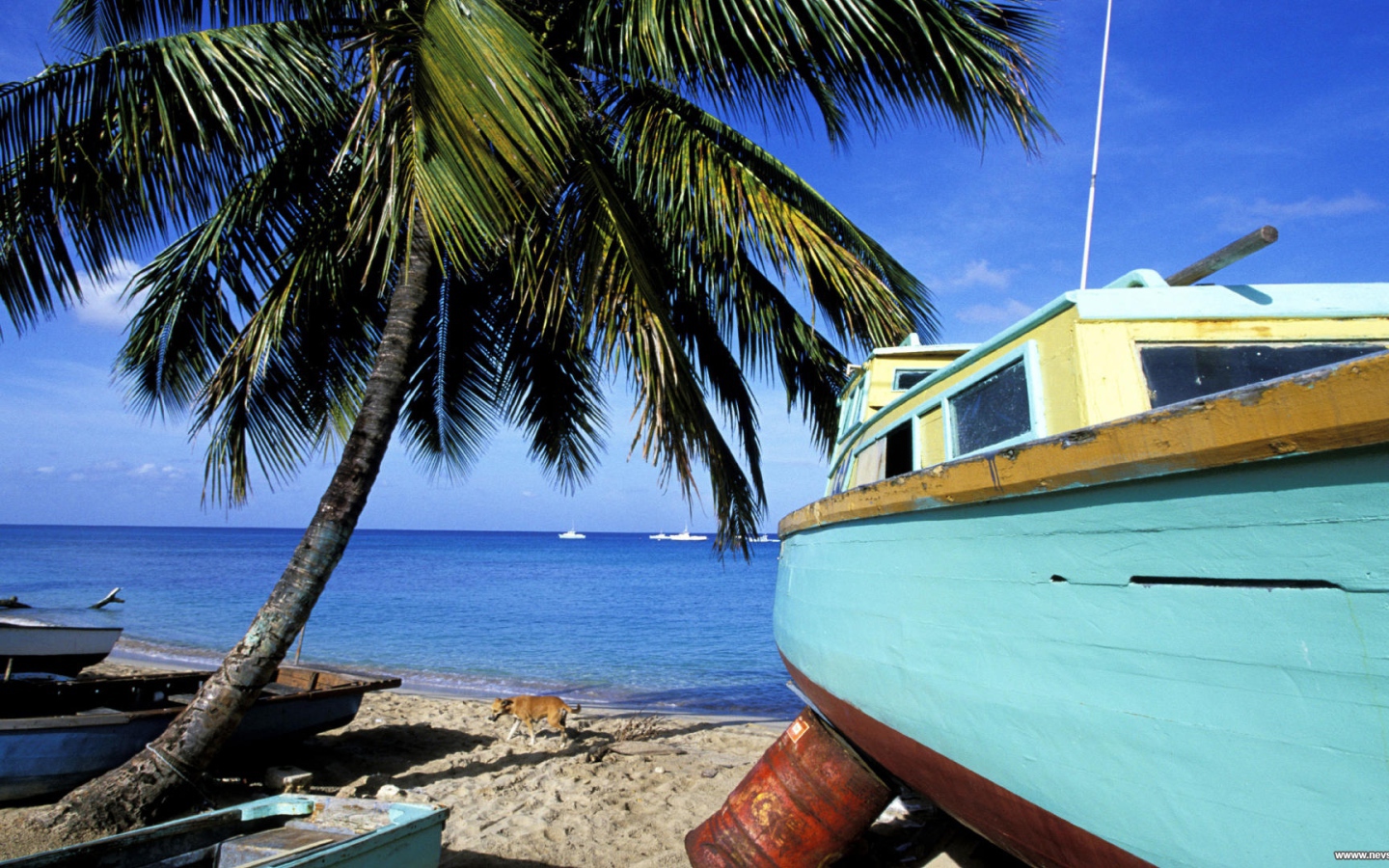 Впечатляющие Барбадос