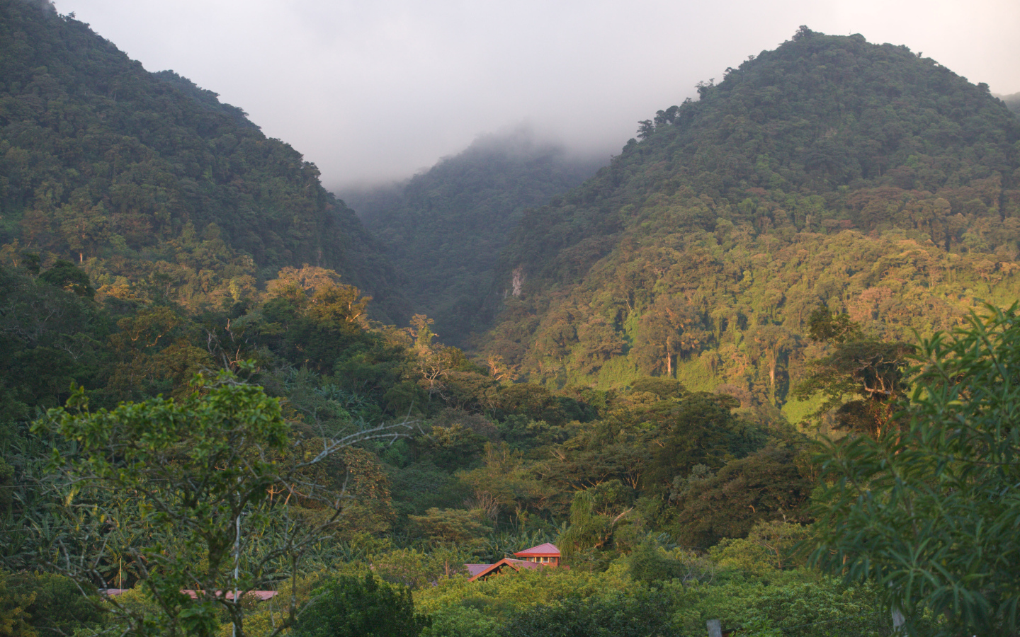 Замечательное Коста-Рика