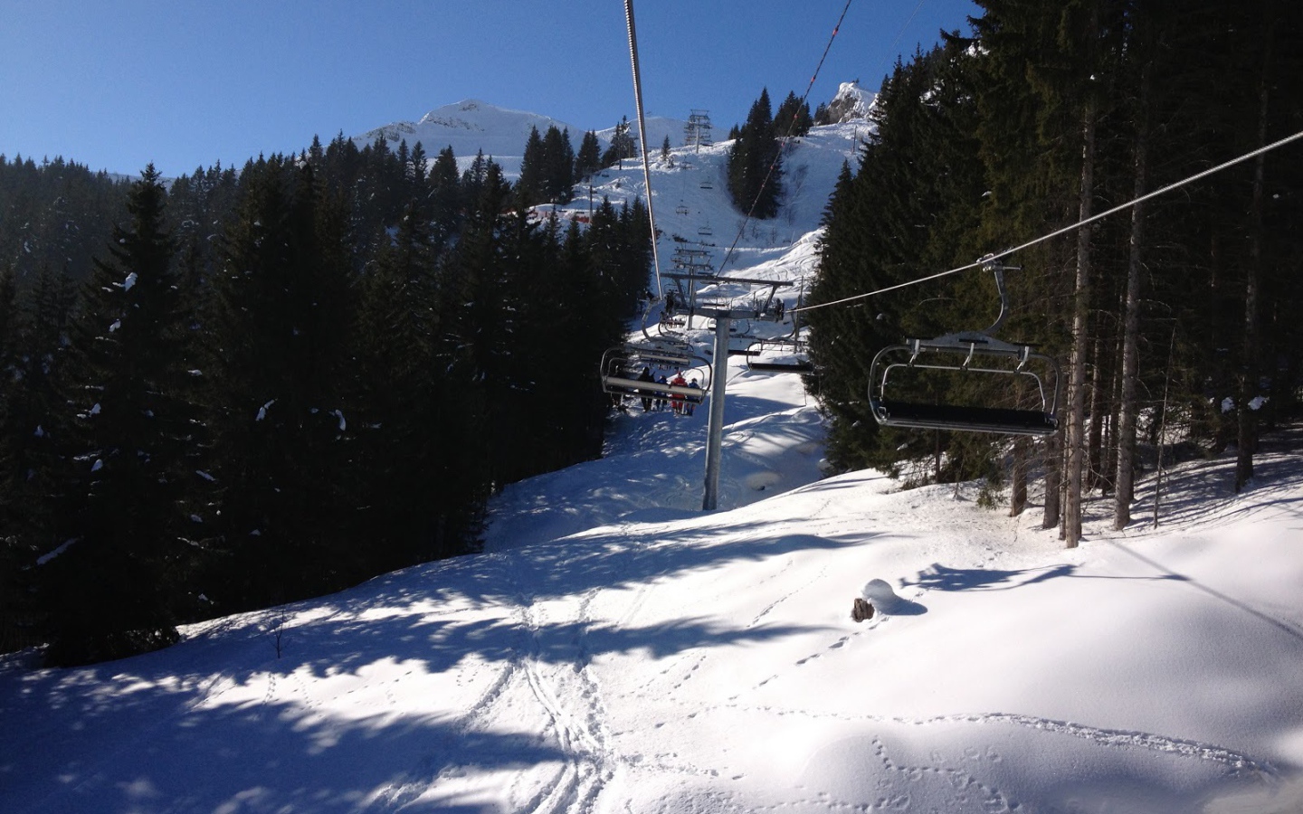 Подъемник среди сосен на горнолыжном курорте Самоен, Франция