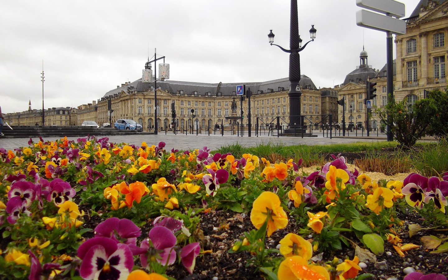 Цветочная клумба в Бордо, Франция