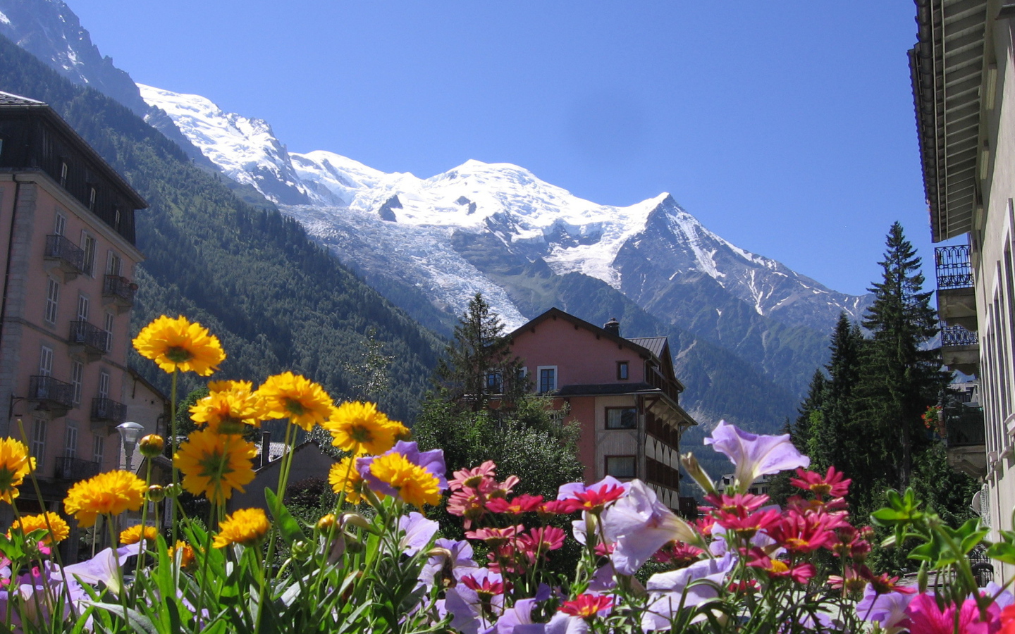 Цветы на курорте Шамони, Франция