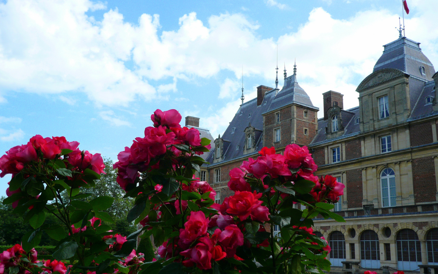 Цветы в Нормандии, Франция