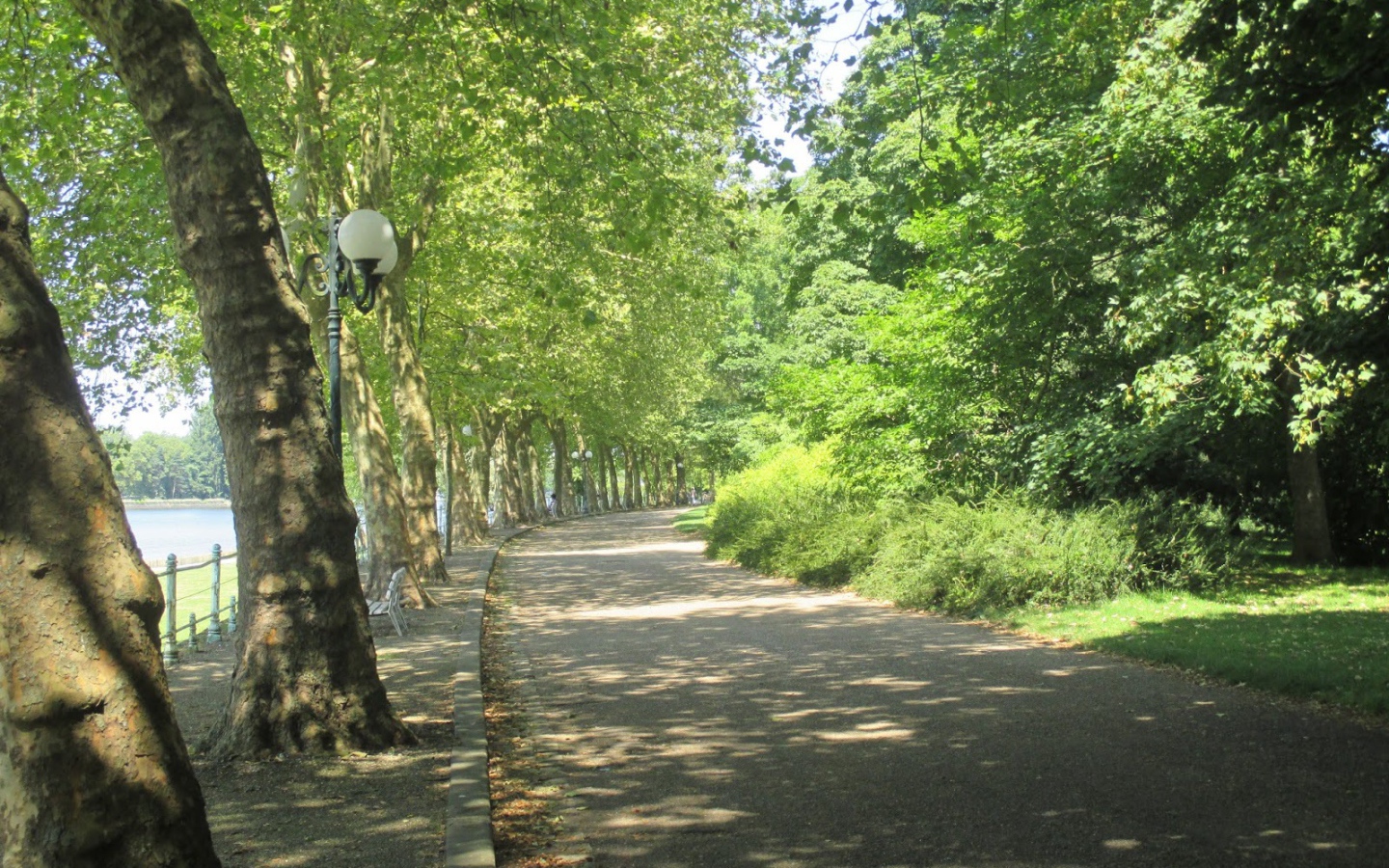 Парковая аллея в городе Виши, Франция