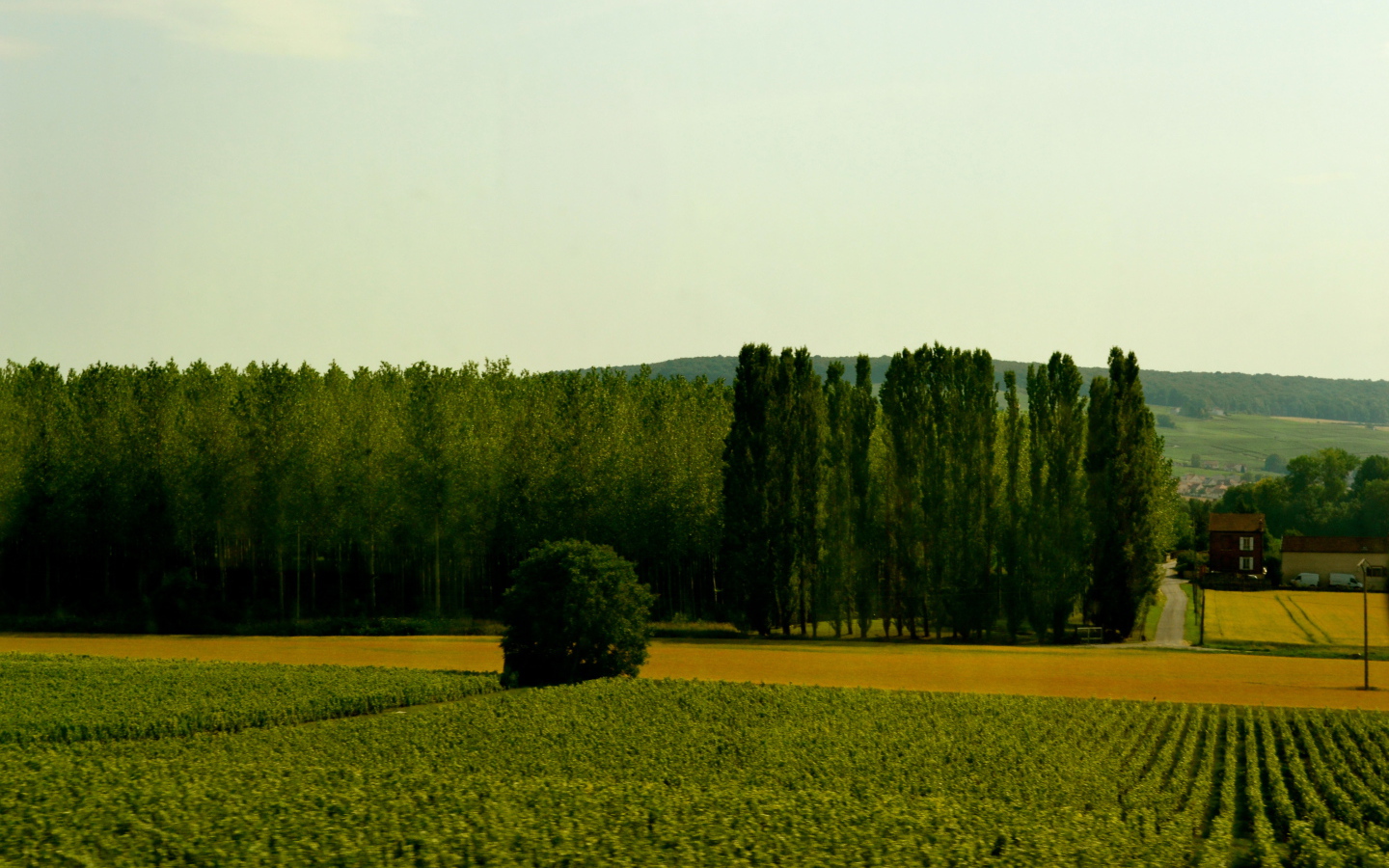 Сельский пейзаж в провинции Шампань, Франция