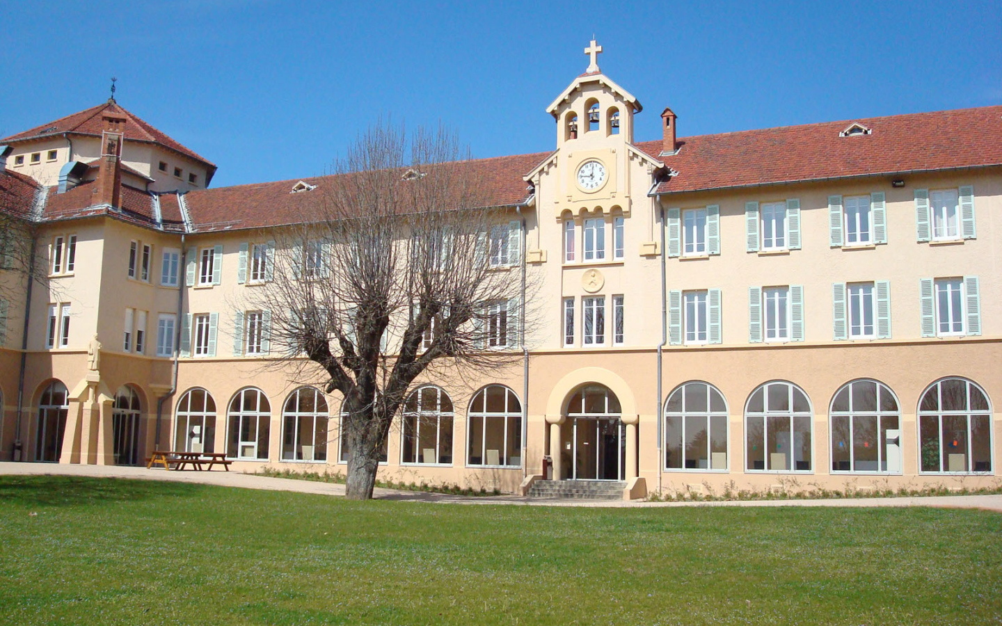 Дерево у здания в городе Лион, Франция