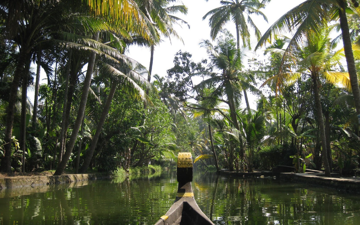 Прогулка на лодке в Алапуже