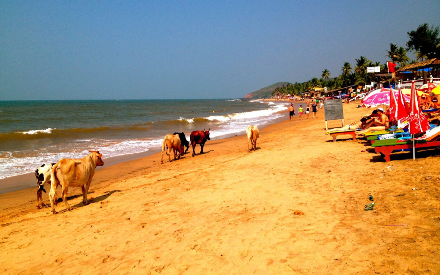 Пляжи в Анджуне