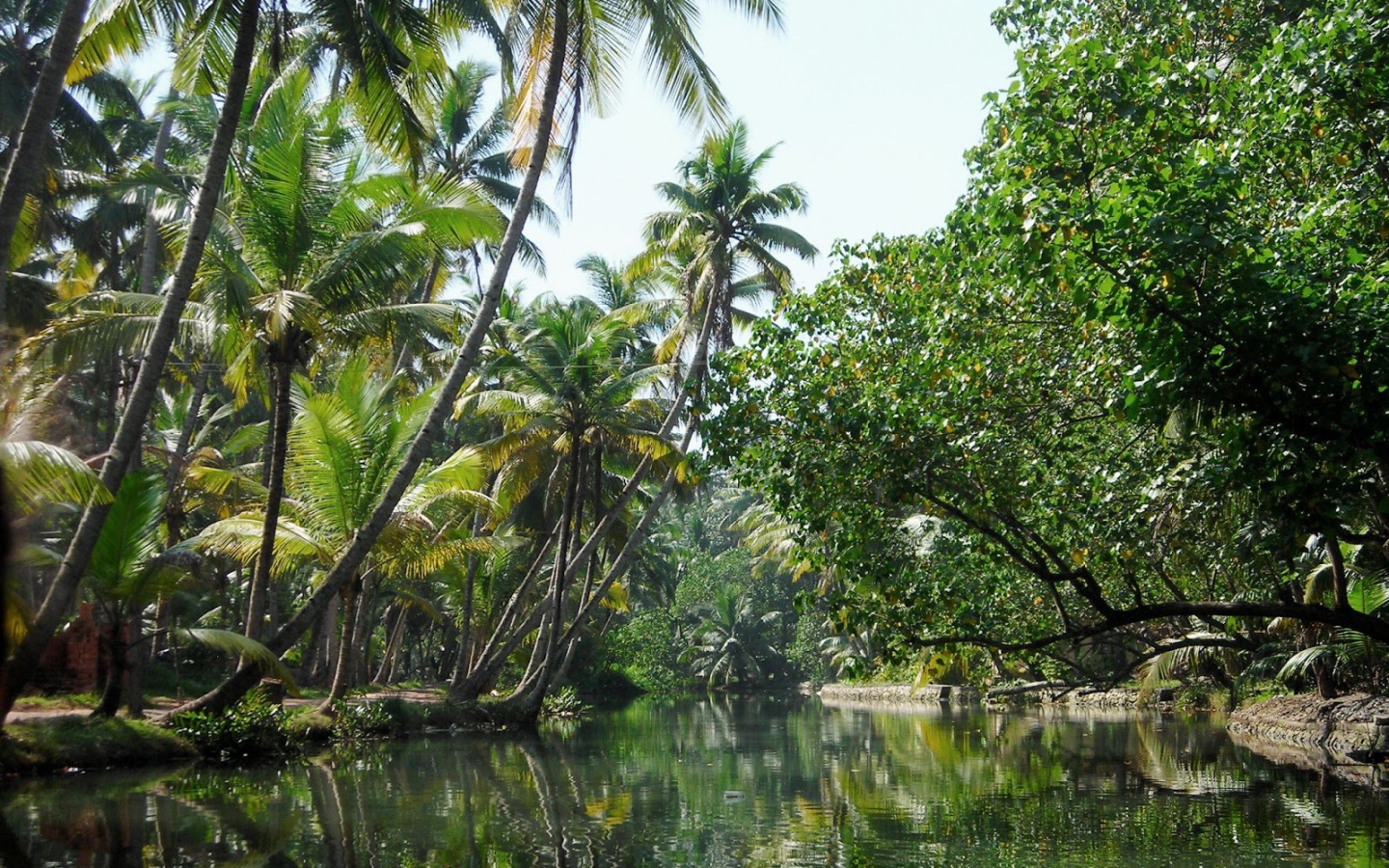 Красивая природа в Алапужа