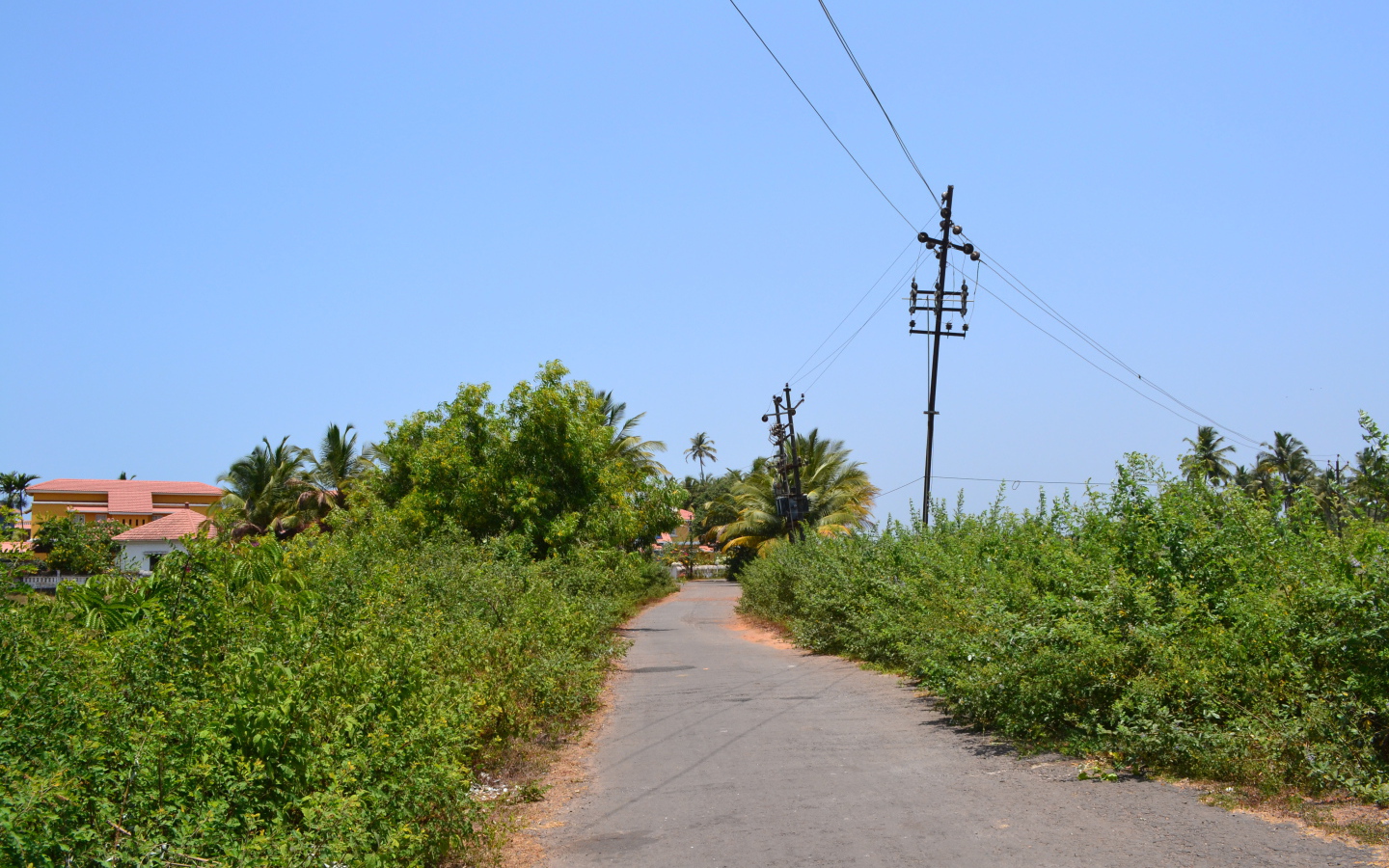 Природа в Бенаулиме