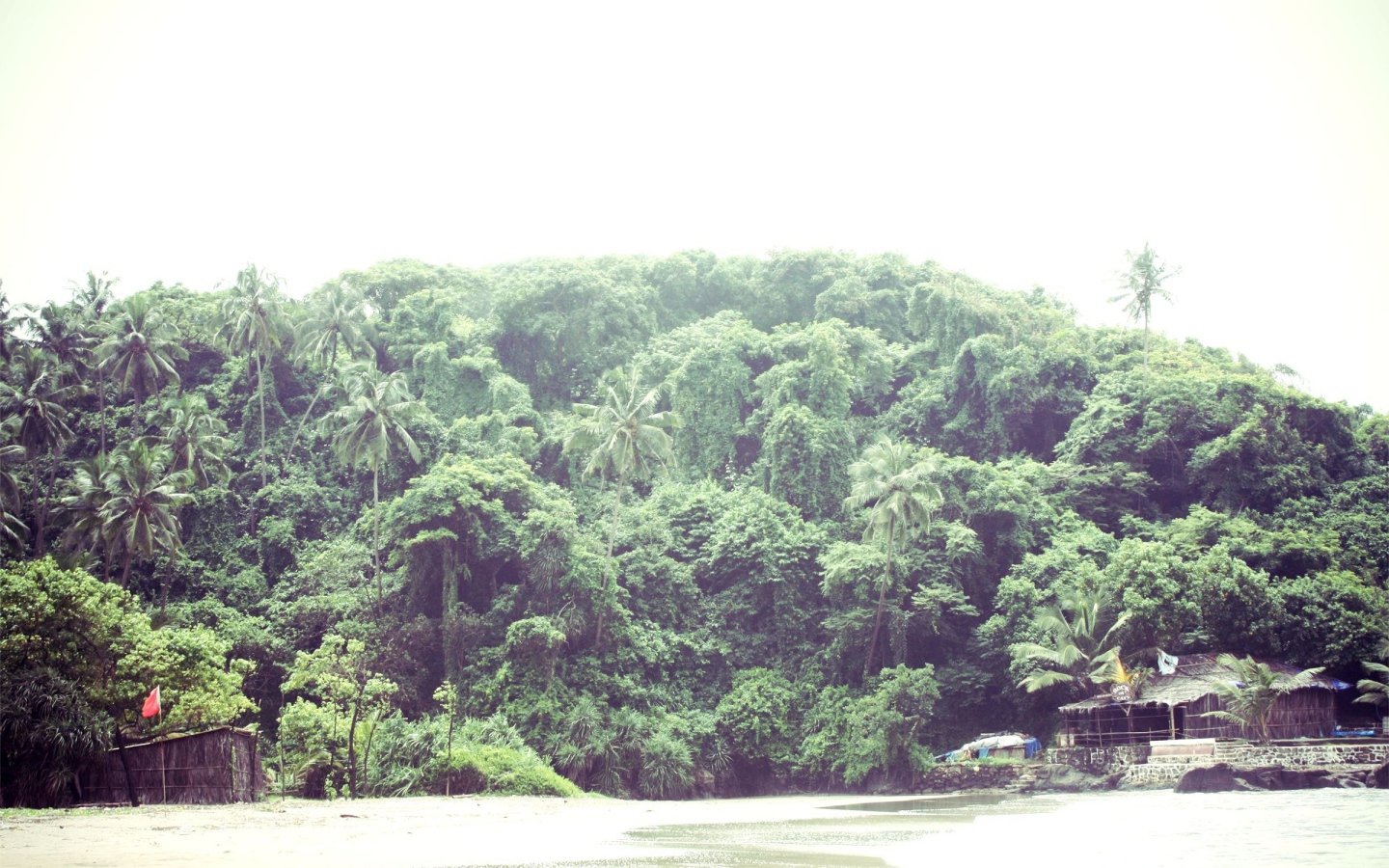 Природа в Вагаторе