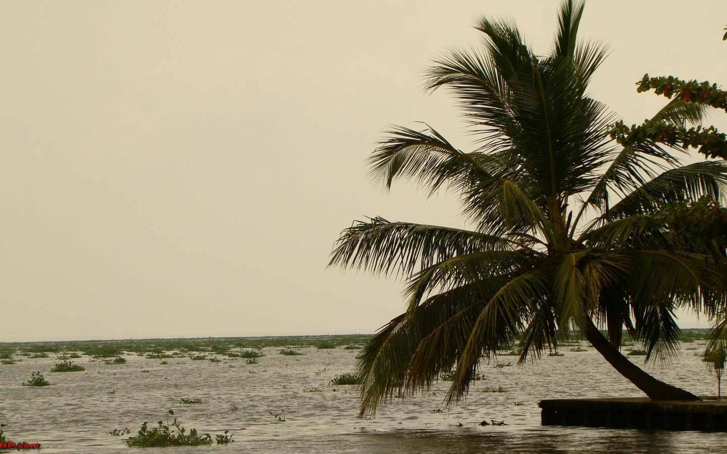 Весенний отпуск в Алапуже