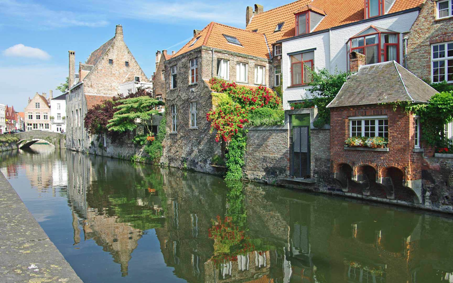 Цветущие растения в Венеции, Италия