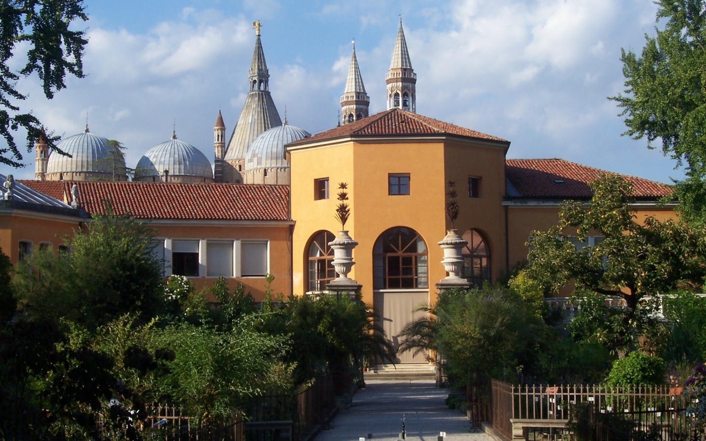 Орто Ботанико в Падуе, Италия