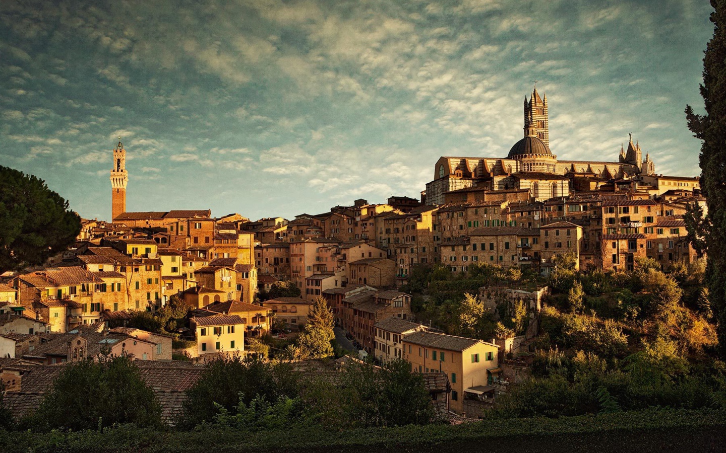 Панорама города в Сиене, Италия