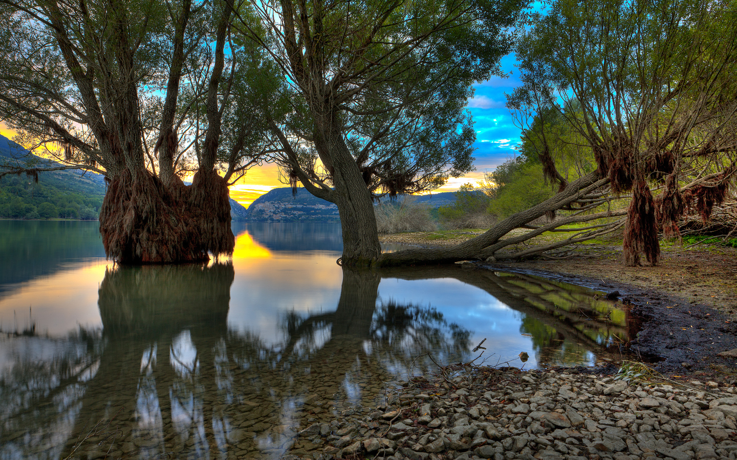Деревья в озере, Абруццо, Италия
