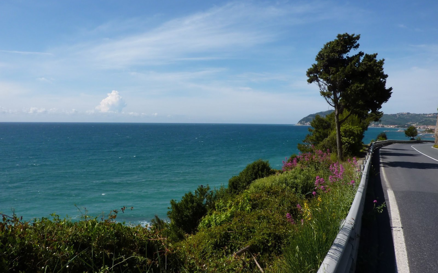 Деревья на набережной в Санто Стефано аль Маре, Италия