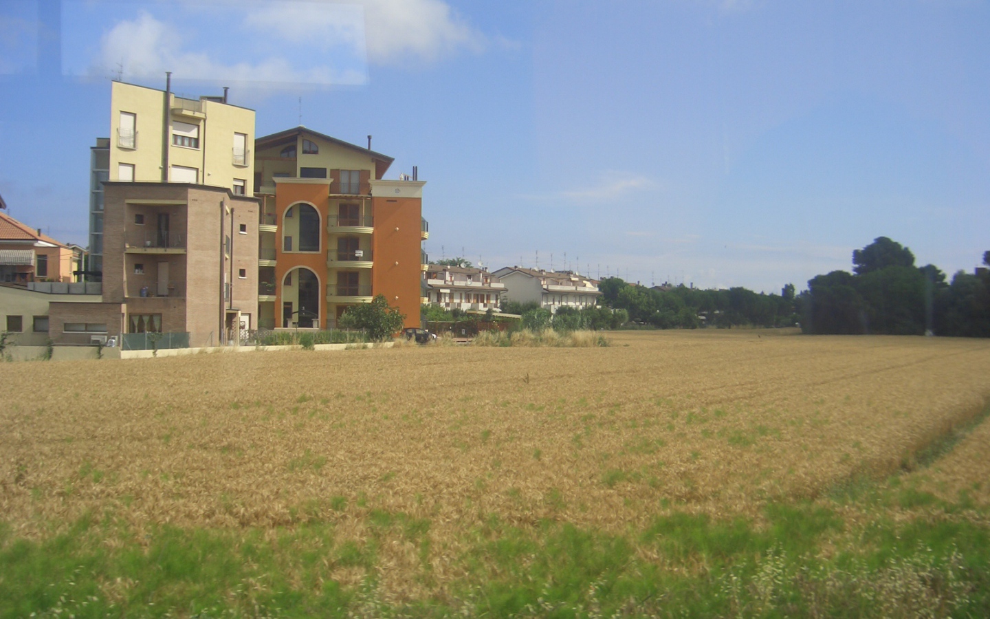 Пшеничное поле в Сан Марино, Италия