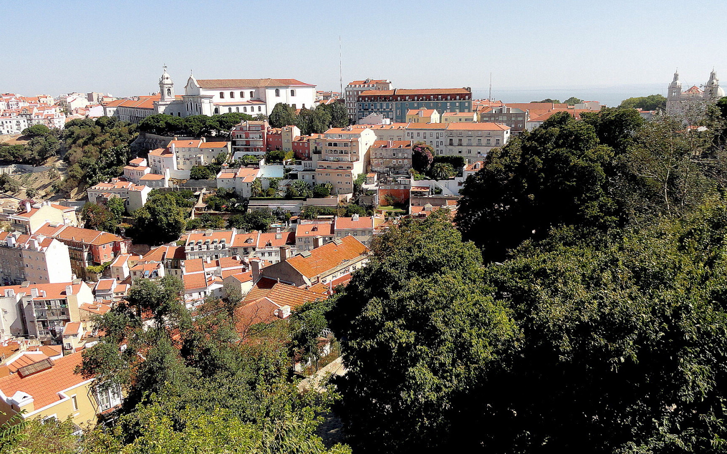 Деревья на фоне Лиссабона