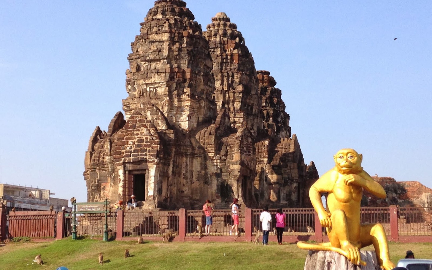 Золотая обезьяна на фоне храма на курорте Лопбури, Таиланд