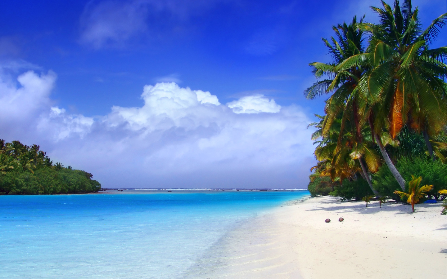 Пальмы на пляже в Пхукете, Таиланд