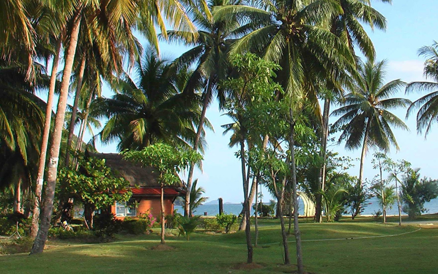 Пальмы на побережье на острове Чанг, Таиланд