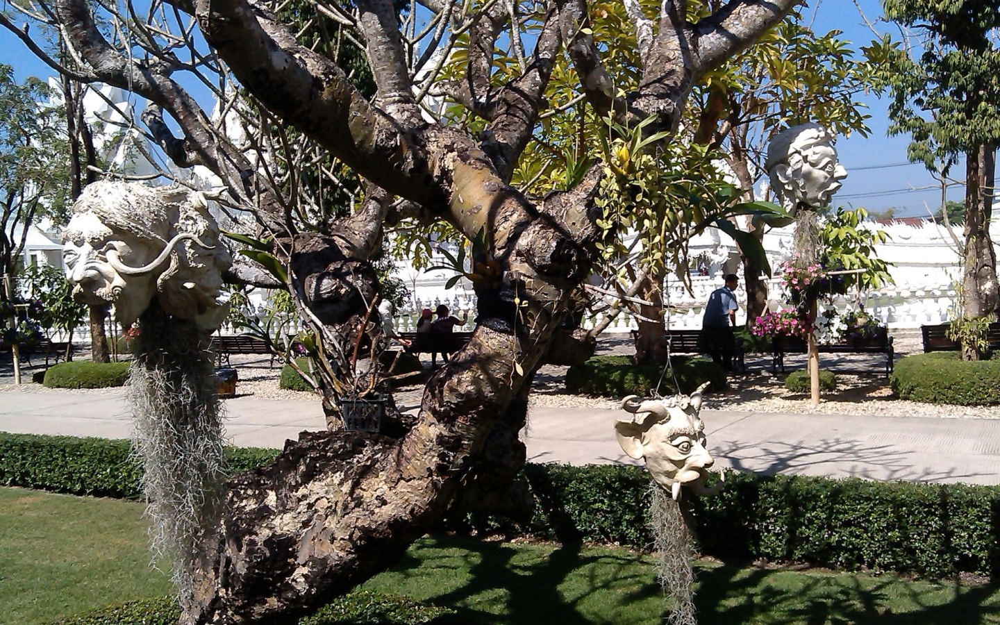 Дерево со скульптурами на курорте Чианг Рай, Таиланд