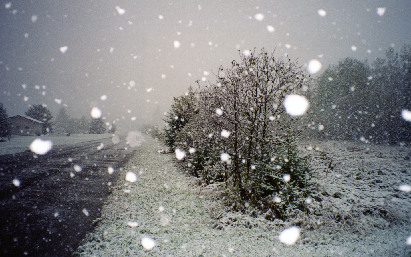 Поездка по зимнему Харькову
