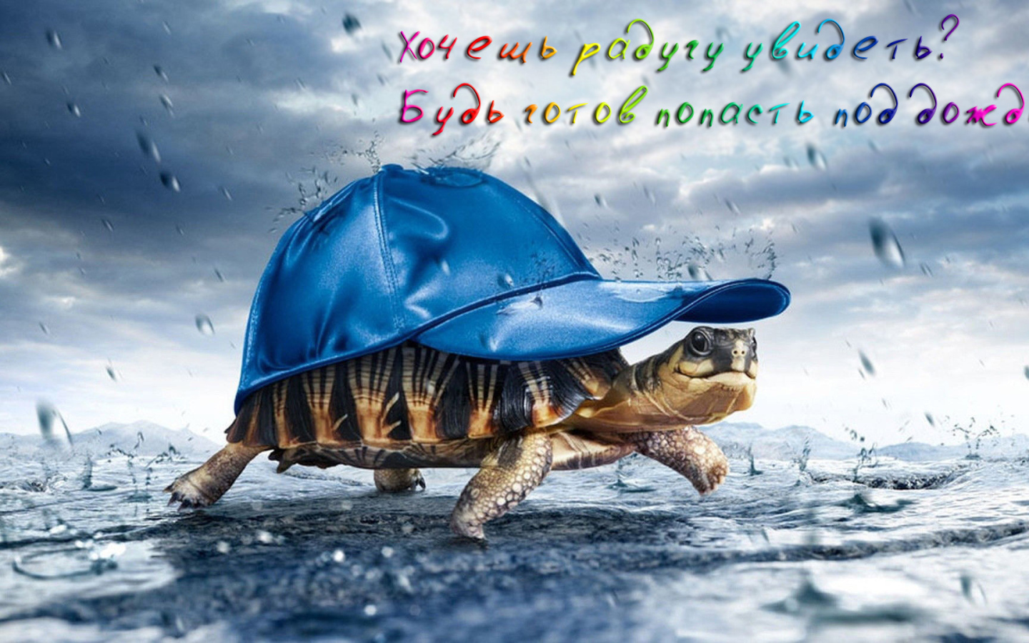 Будь готов промокнуть