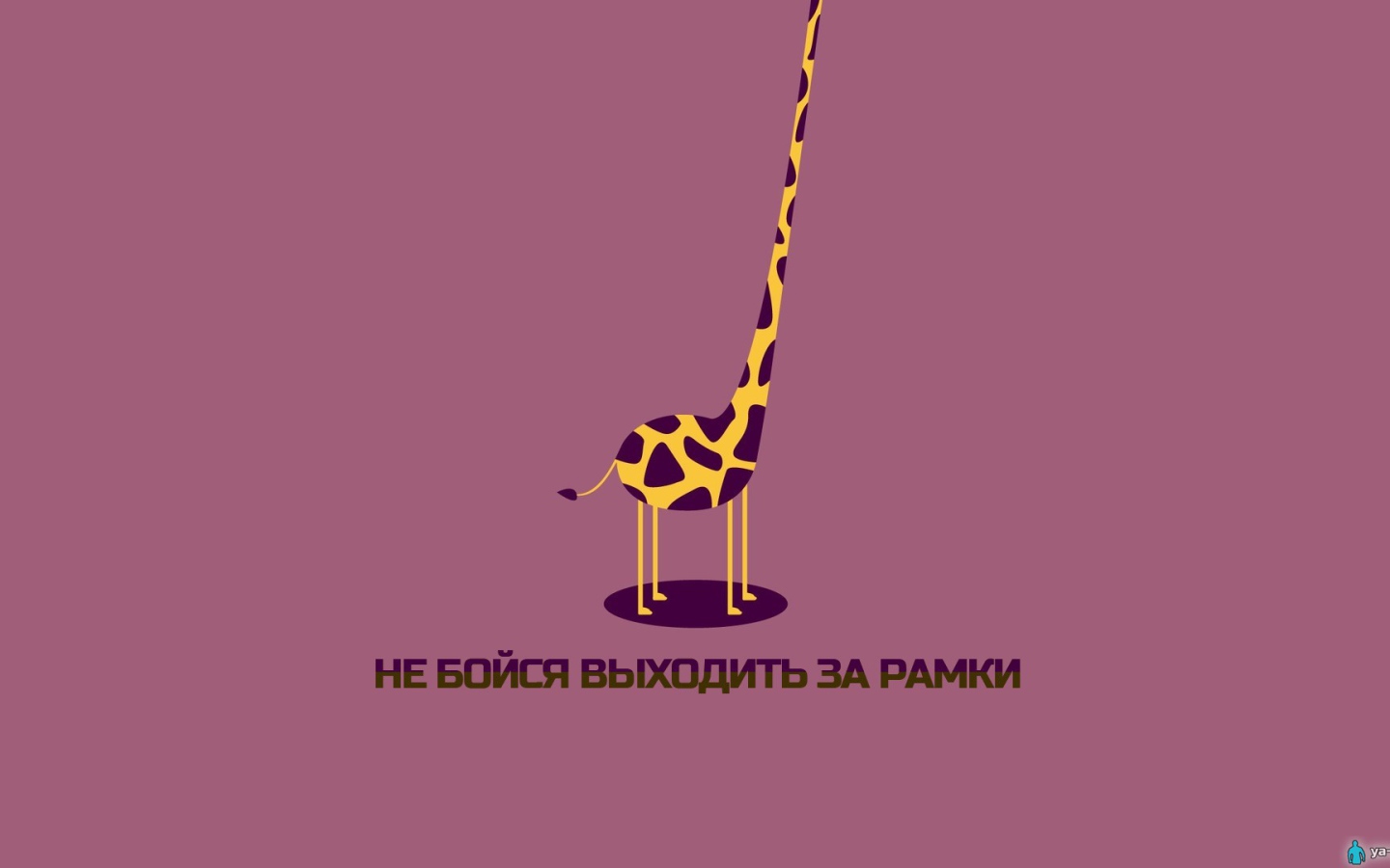 Не бойся выходить за рамки