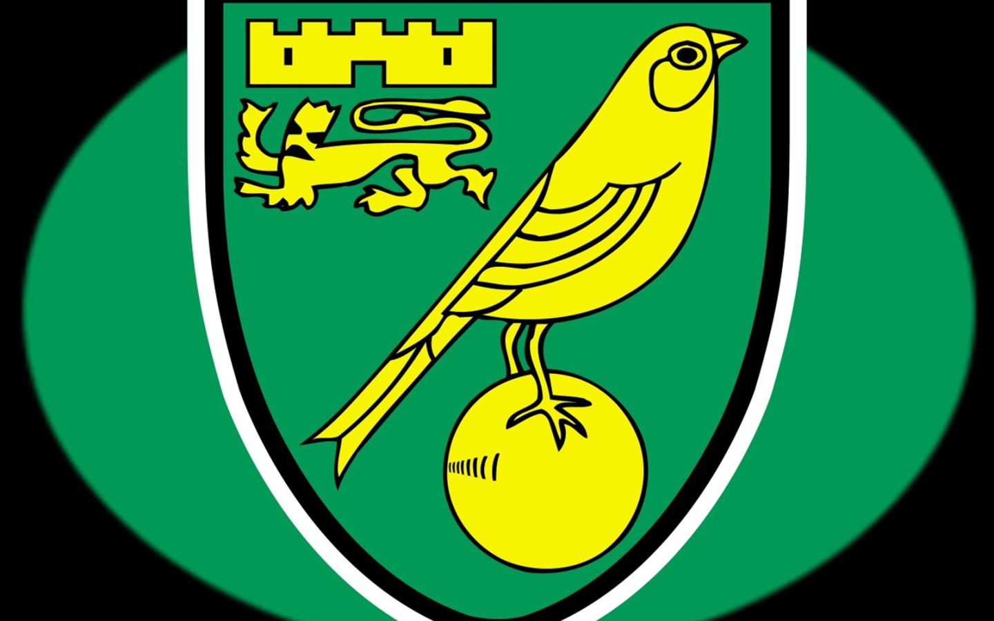 Футбольный клуб Англии Норвич