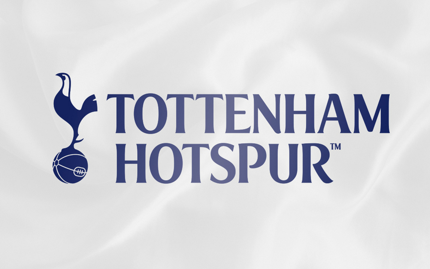Футбольный клуб Англии Тоттенхэм