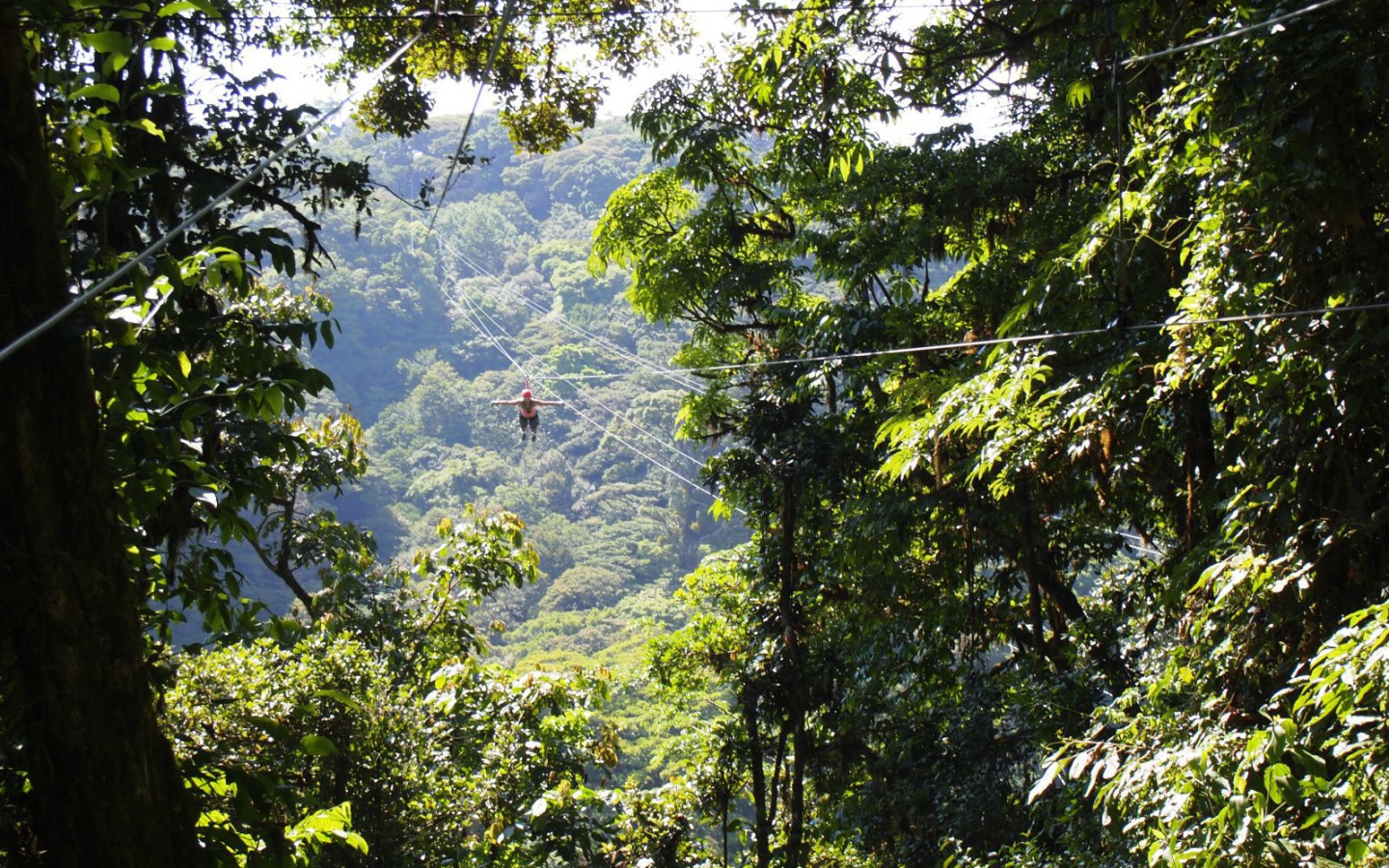 Веселье в Коста-Рика