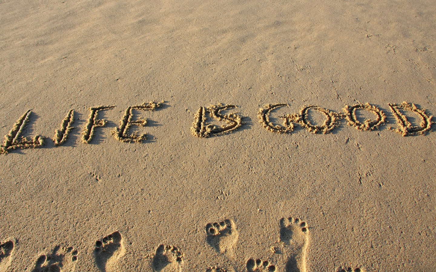 Жизнь хорошая штука