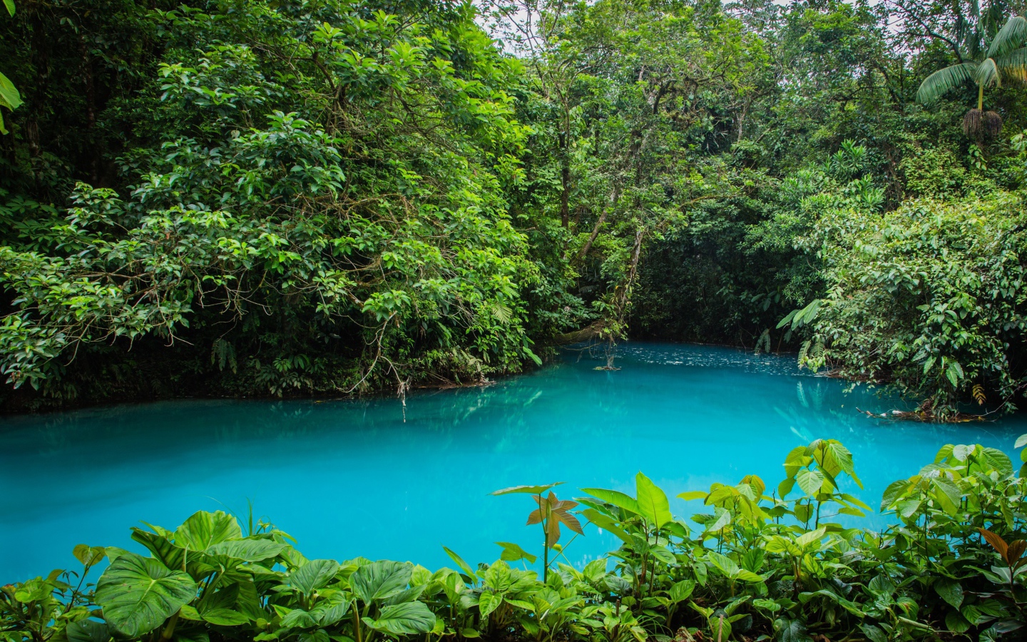 Национальный парк в Коста-Рика